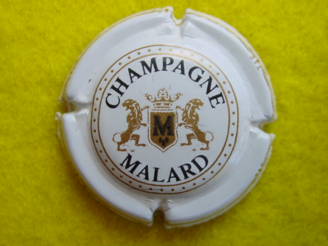 Photo de la capsule