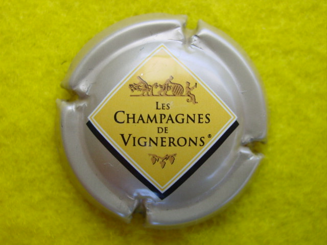 Photo de la capsule