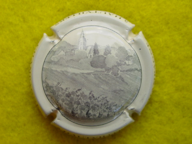 Photo de la capsule