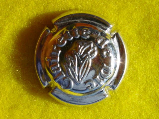Photo de la capsule