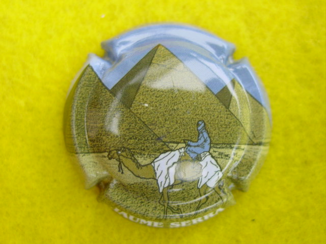 Photo de la capsule