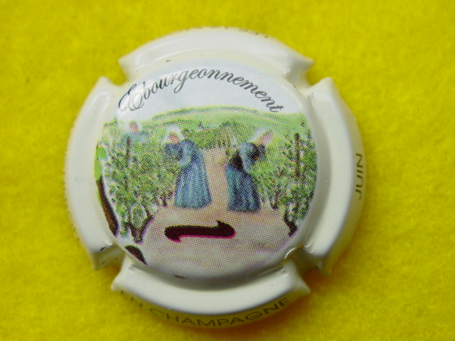 Photo de la capsule