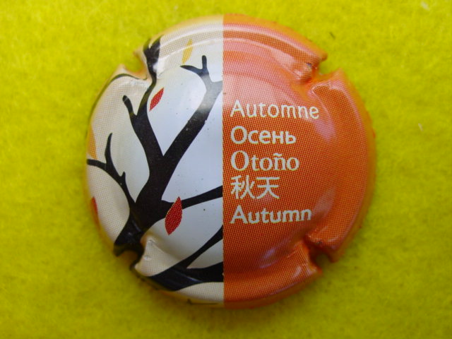 Photo de la capsule