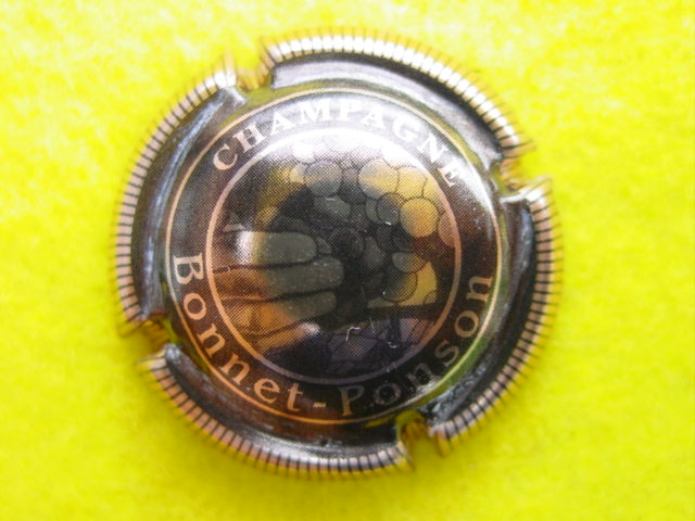 Photo de la capsule