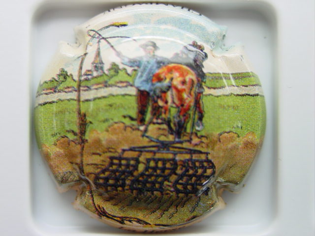 Photo de la capsule