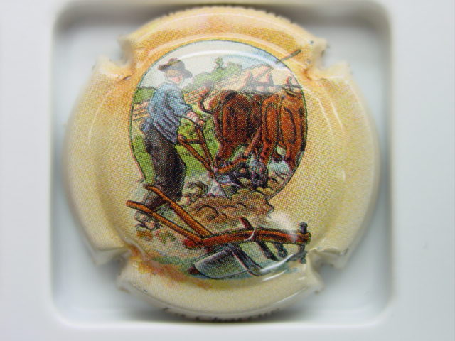 Photo de la capsule