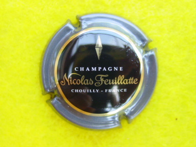 Photo de la capsule