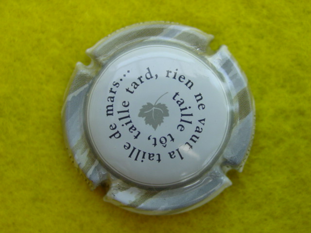 Photo de la capsule