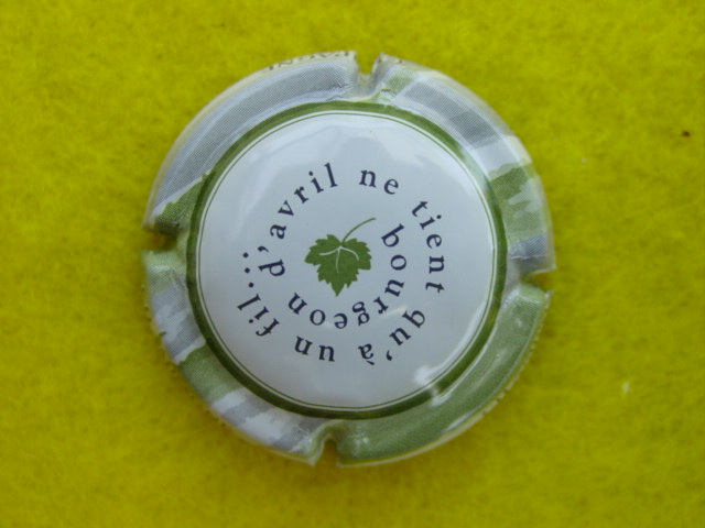 Photo de la capsule