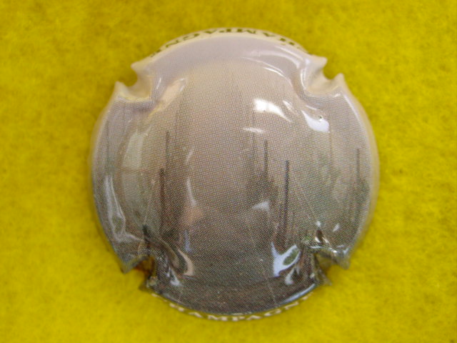 Photo de la capsule