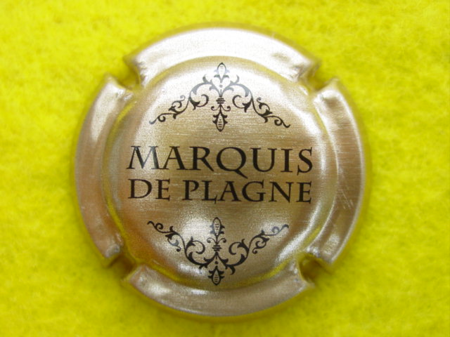 Photo de la capsule