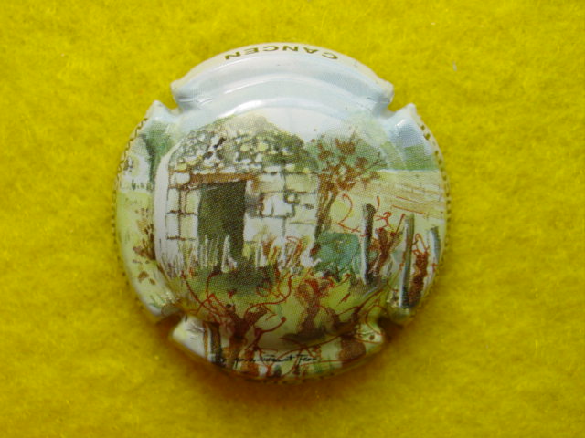Photo de la capsule