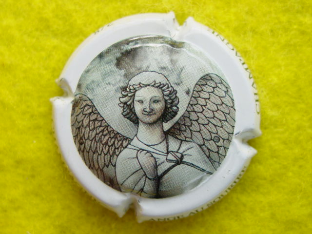 Photo de la capsule