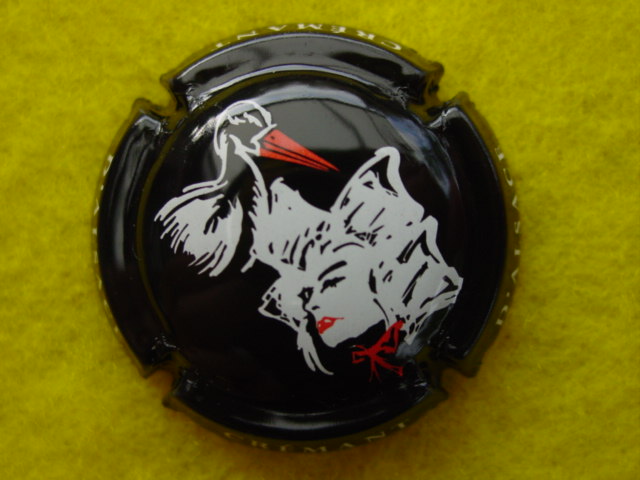 Photo de la capsule