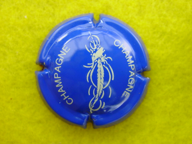 Photo de la capsule