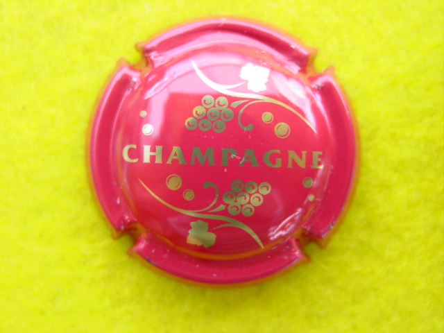 Photo de la capsule