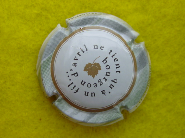 Photo de la capsule