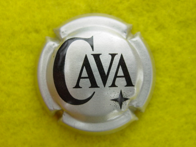 Photo de la capsule