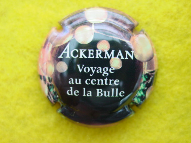 Photo de la capsule
