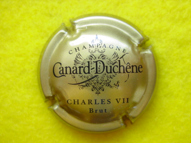 Photo de la capsule