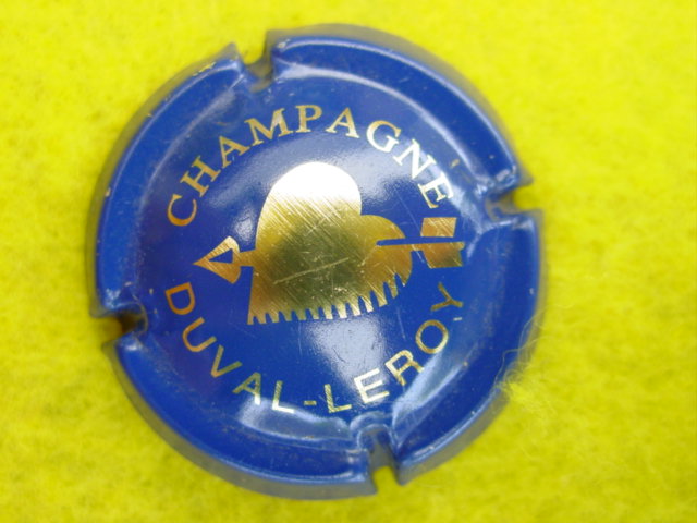 Photo de la capsule