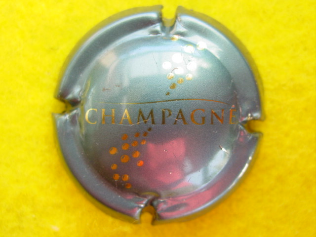 Photo de la capsule
