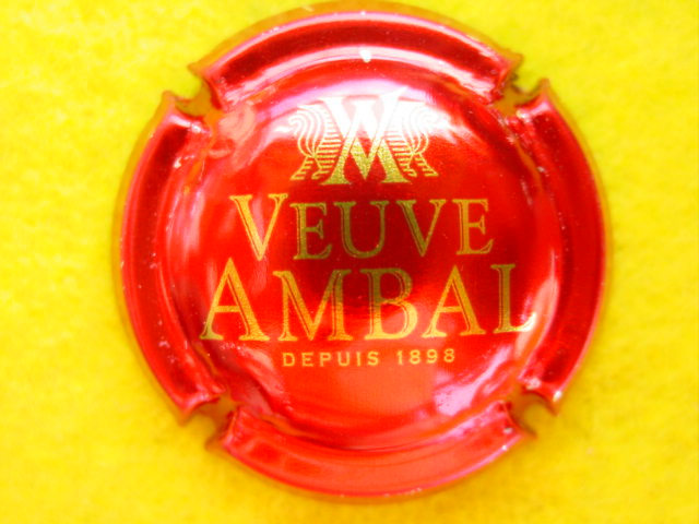 Photo de la capsule