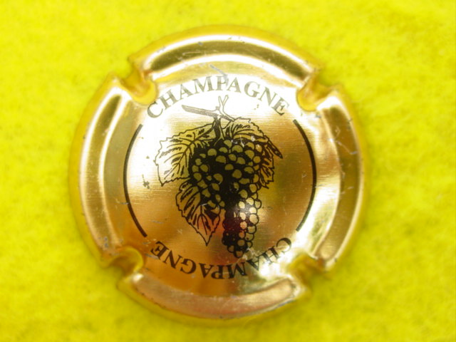 Photo de la capsule