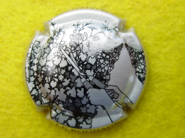Photo de la capsule