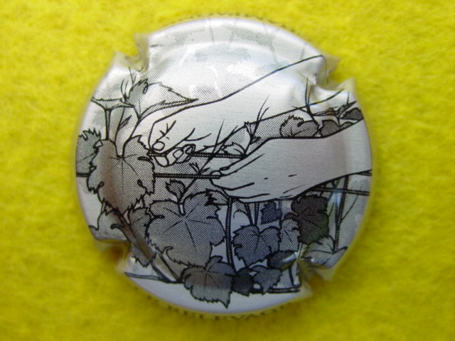 Photo de la capsule