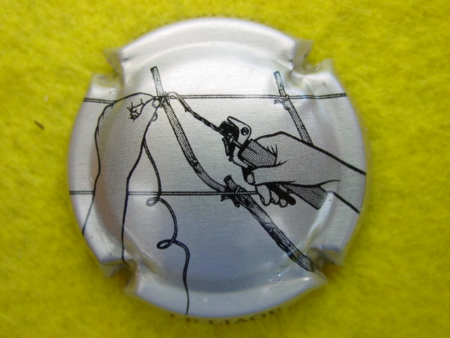 Photo de la capsule