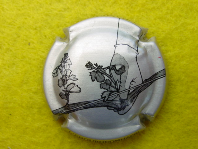 Photo de la capsule