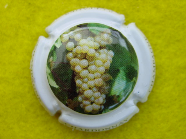 Photo de la capsule