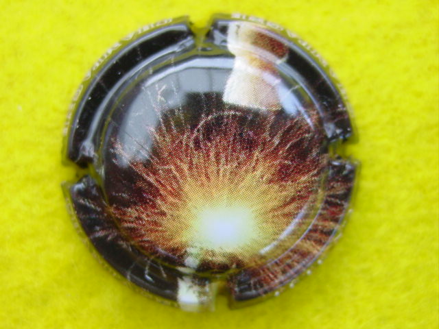 Photo de la capsule