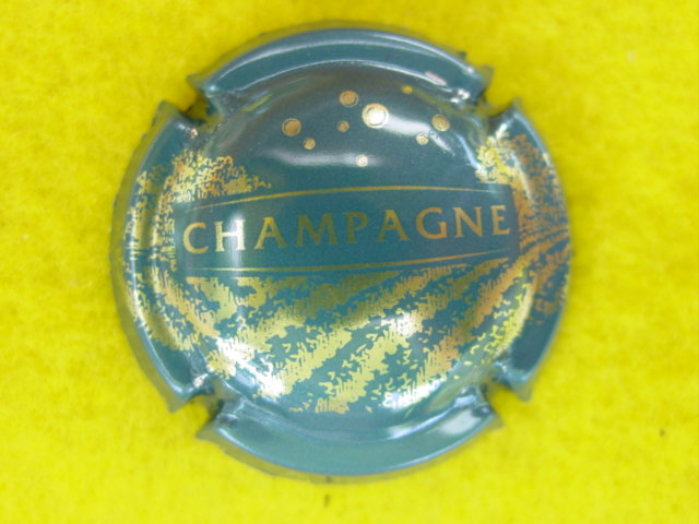 Photo de la capsule