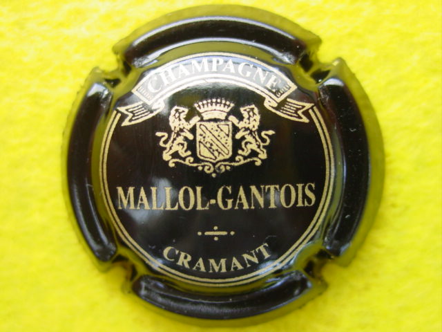 Photo de la capsule