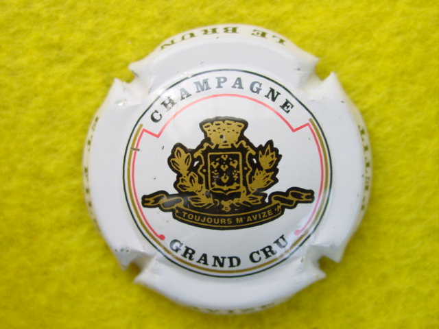 Photo de la capsule