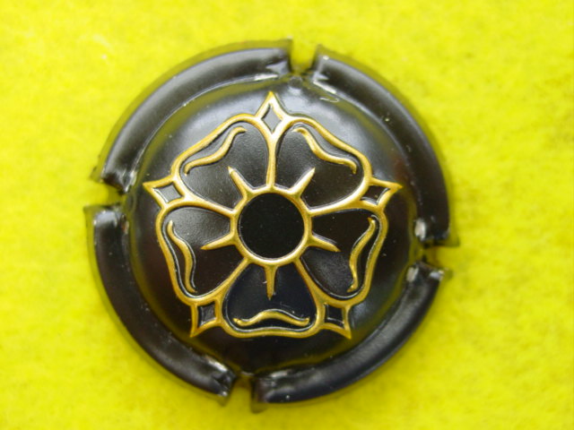 Photo de la capsule