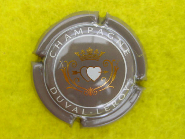 Photo de la capsule