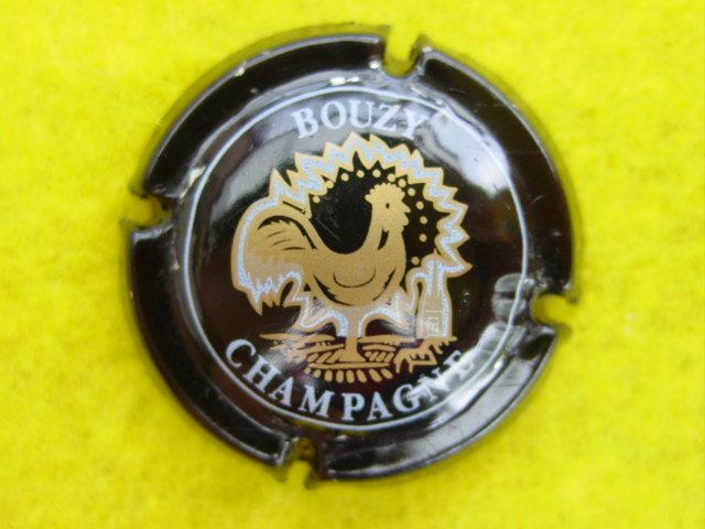 Photo de la capsule