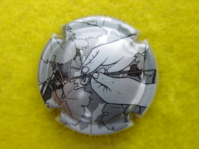 Photo de la capsule