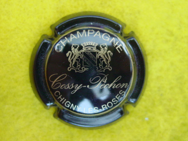 Photo de la capsule