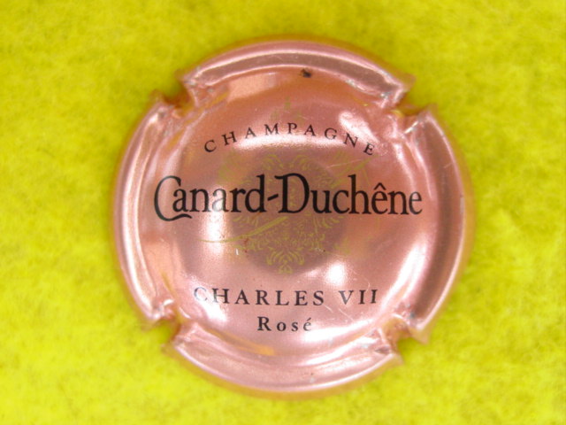 Photo de la capsule