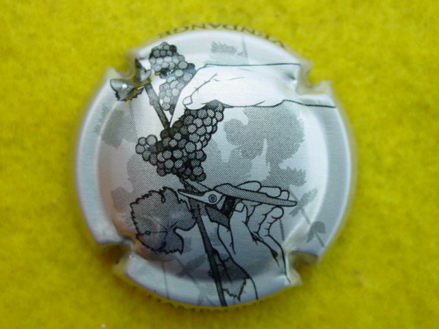Photo de la capsule