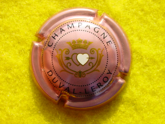 Photo de la capsule