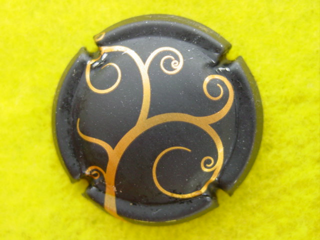 Photo de la capsule