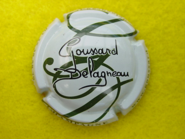 Photo de la capsule