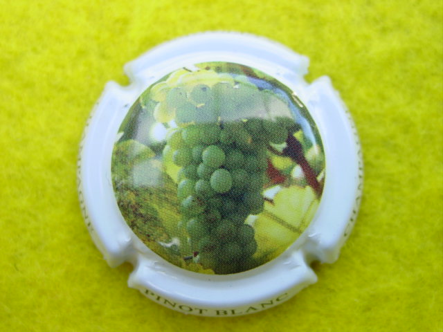 Photo de la capsule