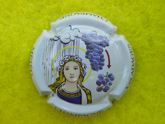 Photo de la capsule
