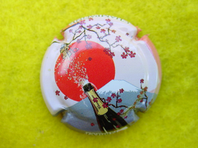 Photo de la capsule